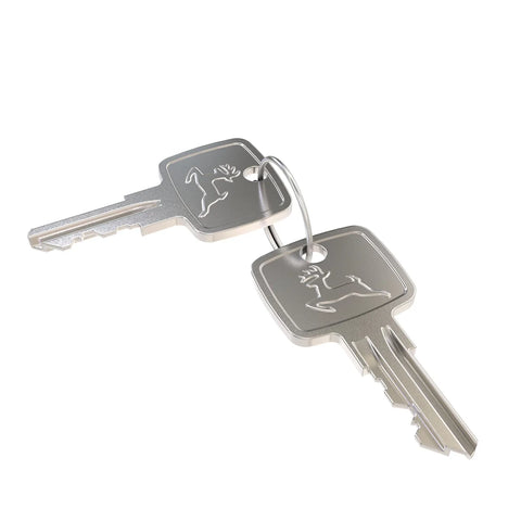 AR51481 Sleutel