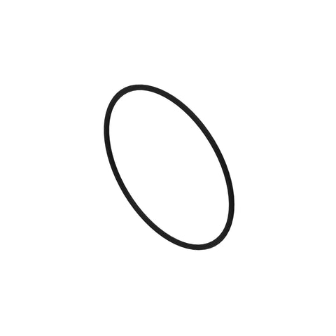 AT264318 O-ring