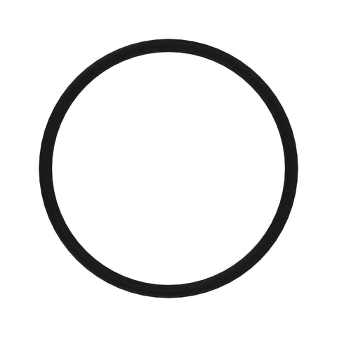 AT264319 O-ring