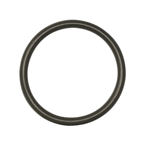AT276198 O-ring