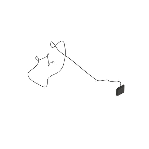 AT344869 Antenne
