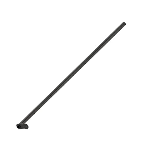 AXE37368 Buis