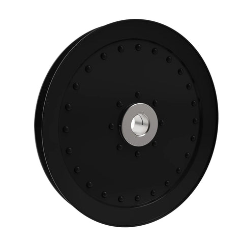 AXE46215 Poelie