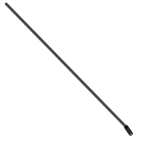 AXE54829 Buis