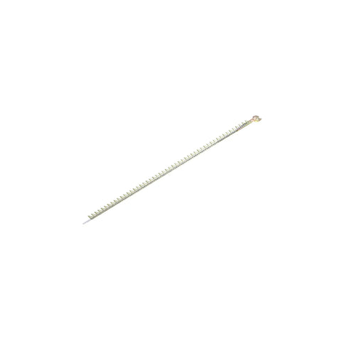 AXE82804 Mes