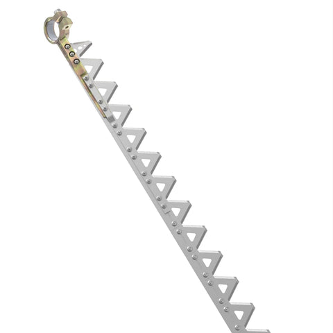 AXE92461 Mes