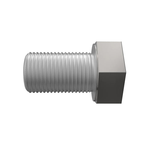 CB11451849 Bout