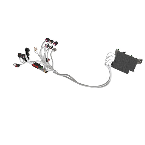CB11501373 Kabelboom