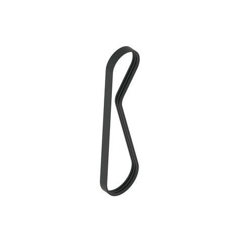 CC100317 V-riem