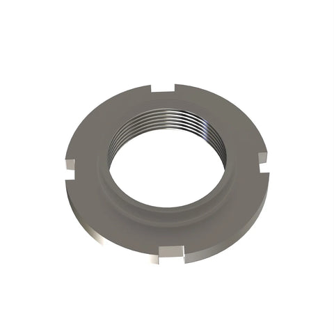 CC133894 Borgmoer
