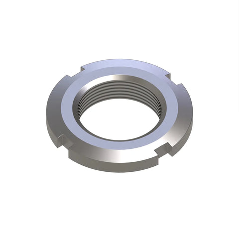 CC133894 Borgmoer