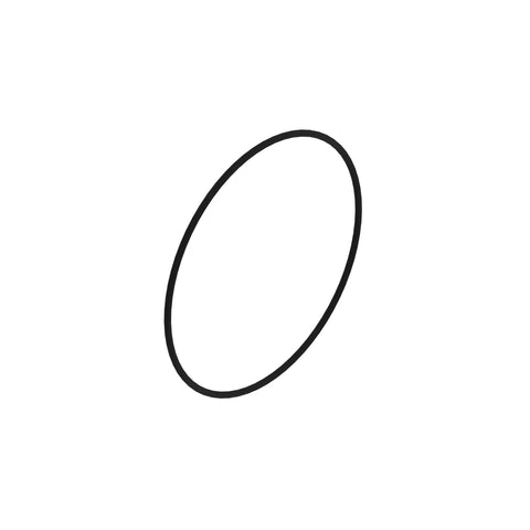 CE16800 O-ring