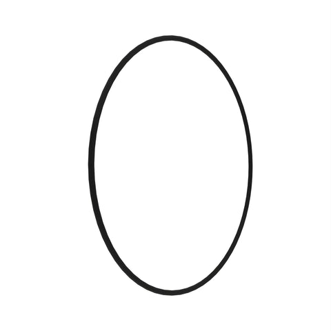 CE17713 O-ring