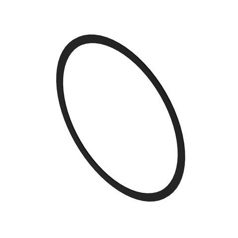 CE17900 Sluitring