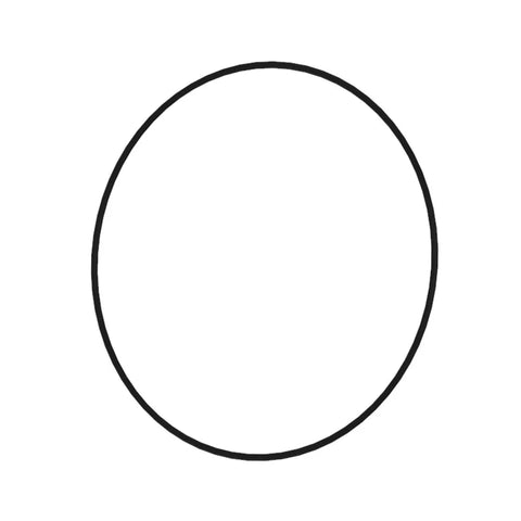 CE18446 O-ring