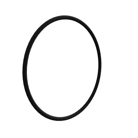 CE21613 O-ring