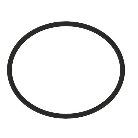 CH16940 O-ring
