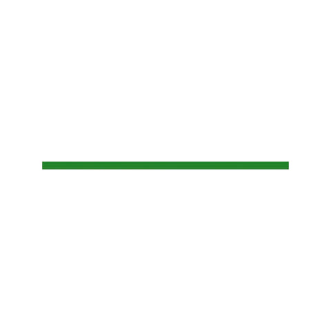 E75919 Riem