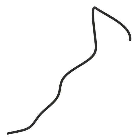 F730572 Slang