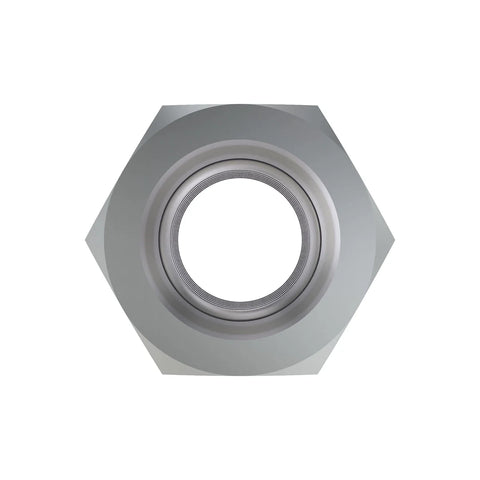 KK54765 Borgmoer