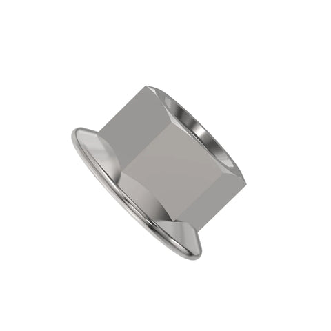 KK54768 Borgmoer