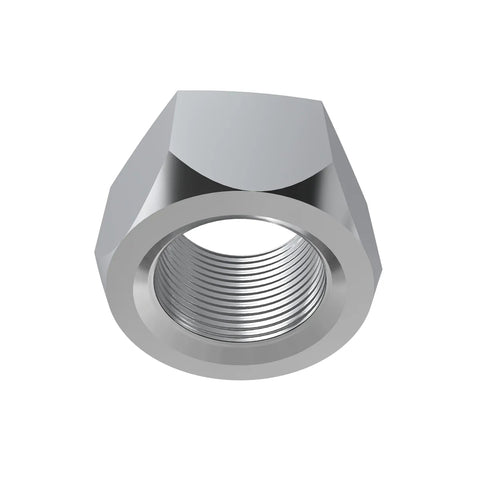 KK54774 Borgmoer