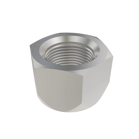 KK54788 Borgmoer