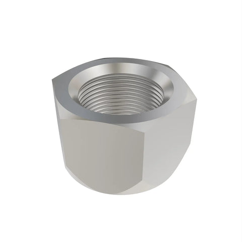 KK54804 Borgmoer