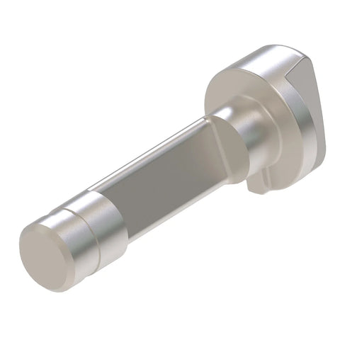 KV16596 Knop