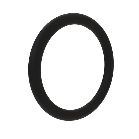 L110296 O-ring
