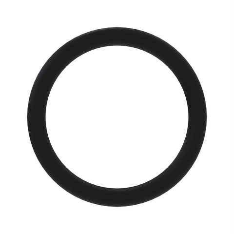 L110296 O-ring