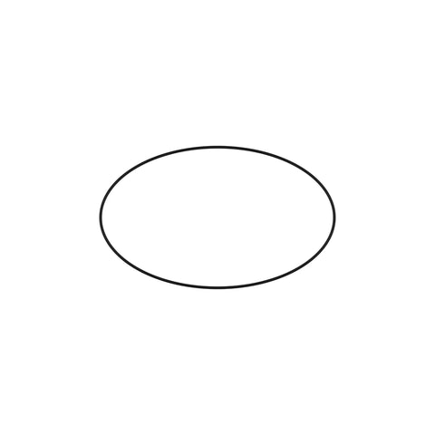 L116346 O-ring
