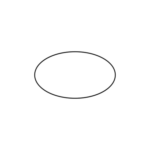 L116346 O-ring
