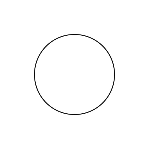 L116346 O-ring