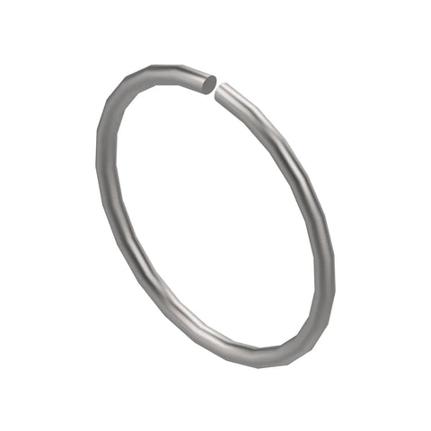 L156763 Borgring