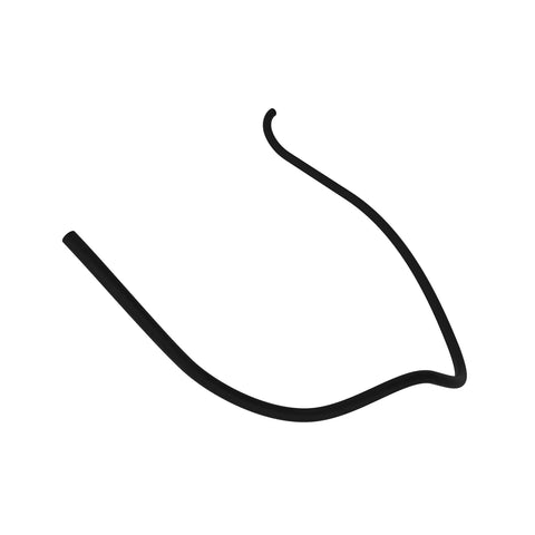 L157293 Slang