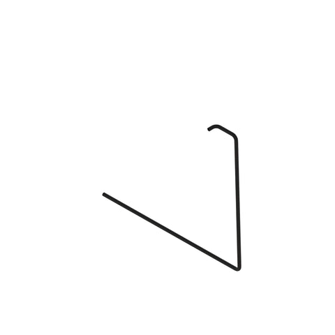L158565 Slang