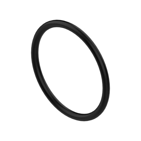 L166481 O-ring