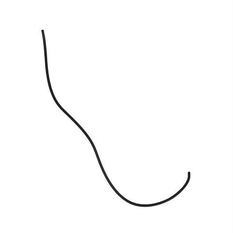 L170676 Slang