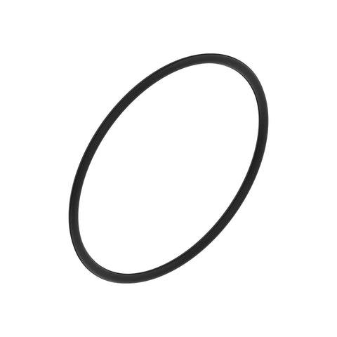 L171847 O-ring