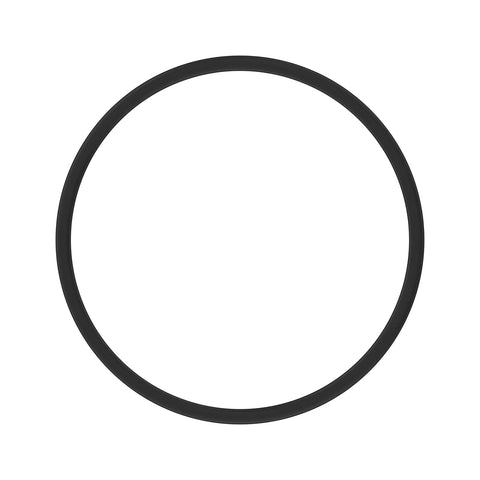 L171847 O-ring