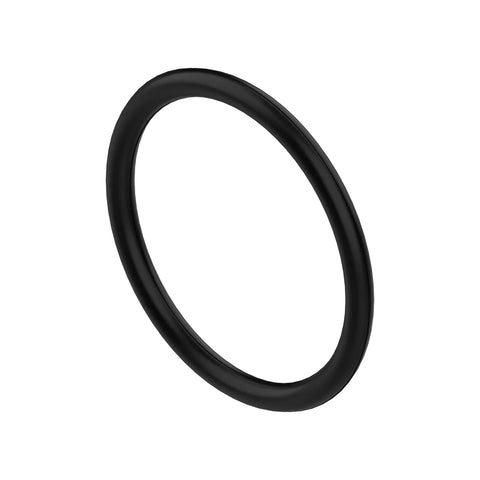 L175966 O-ring