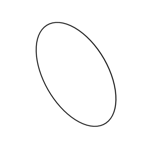 L213906 O-ring