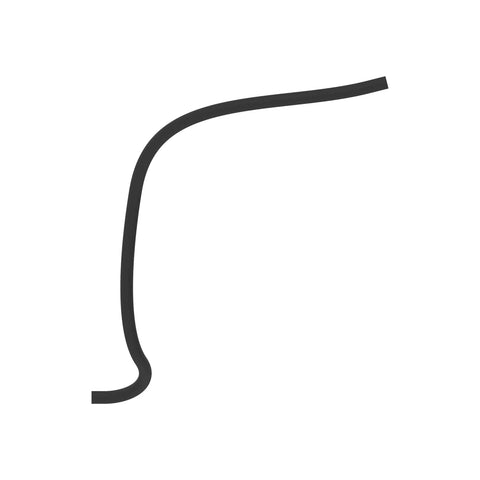 L214992 Slang