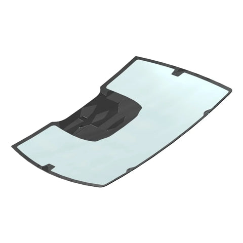 L216320 Voorruit