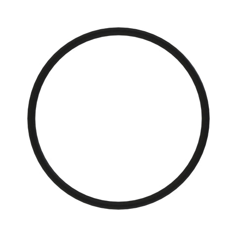 L40318 O-ring