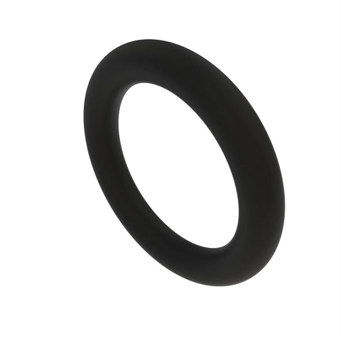 L53813 O-ring