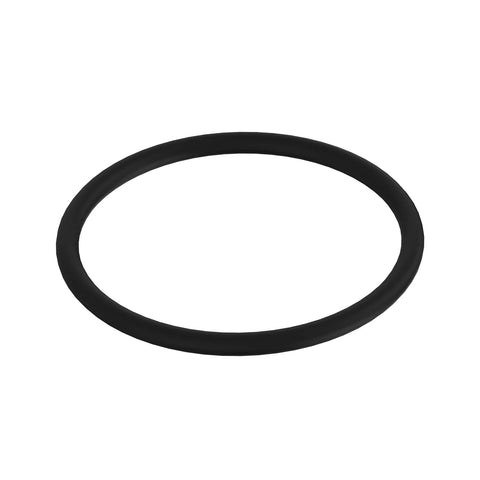 L53821 O-ring