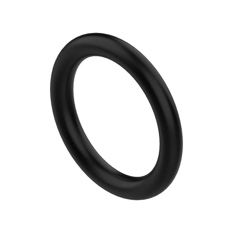 L53834 O-ring