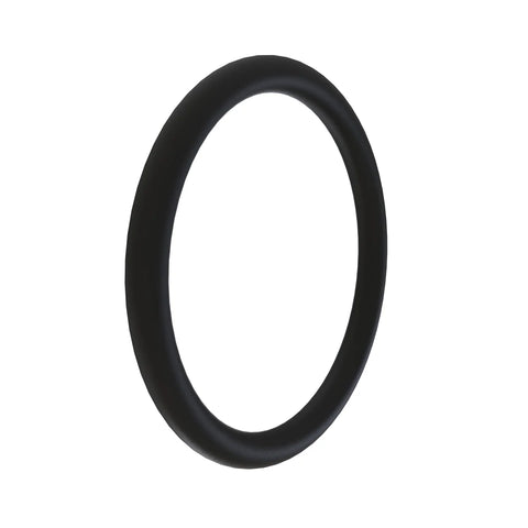 L53840 O-ring